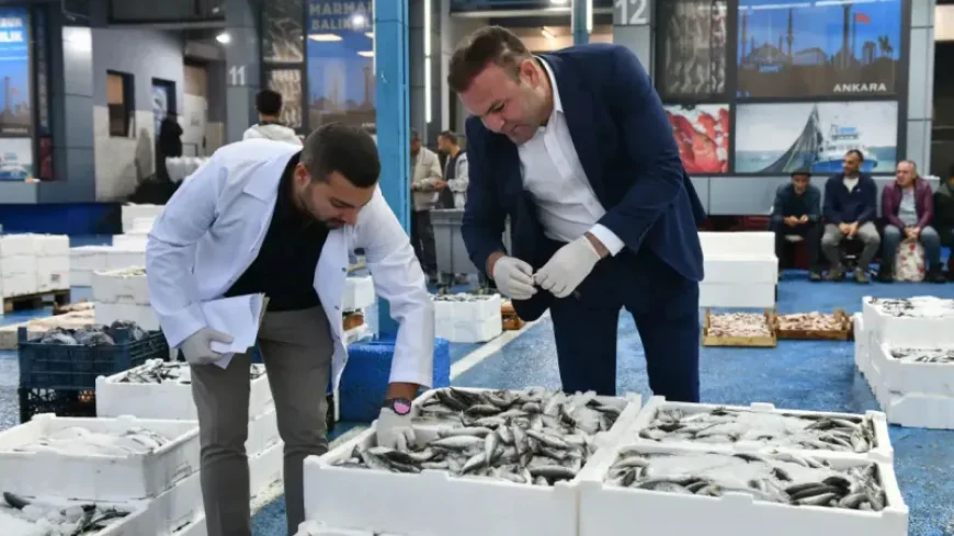 ABB, Balık Hali'nde günlük kontrollerine başladı